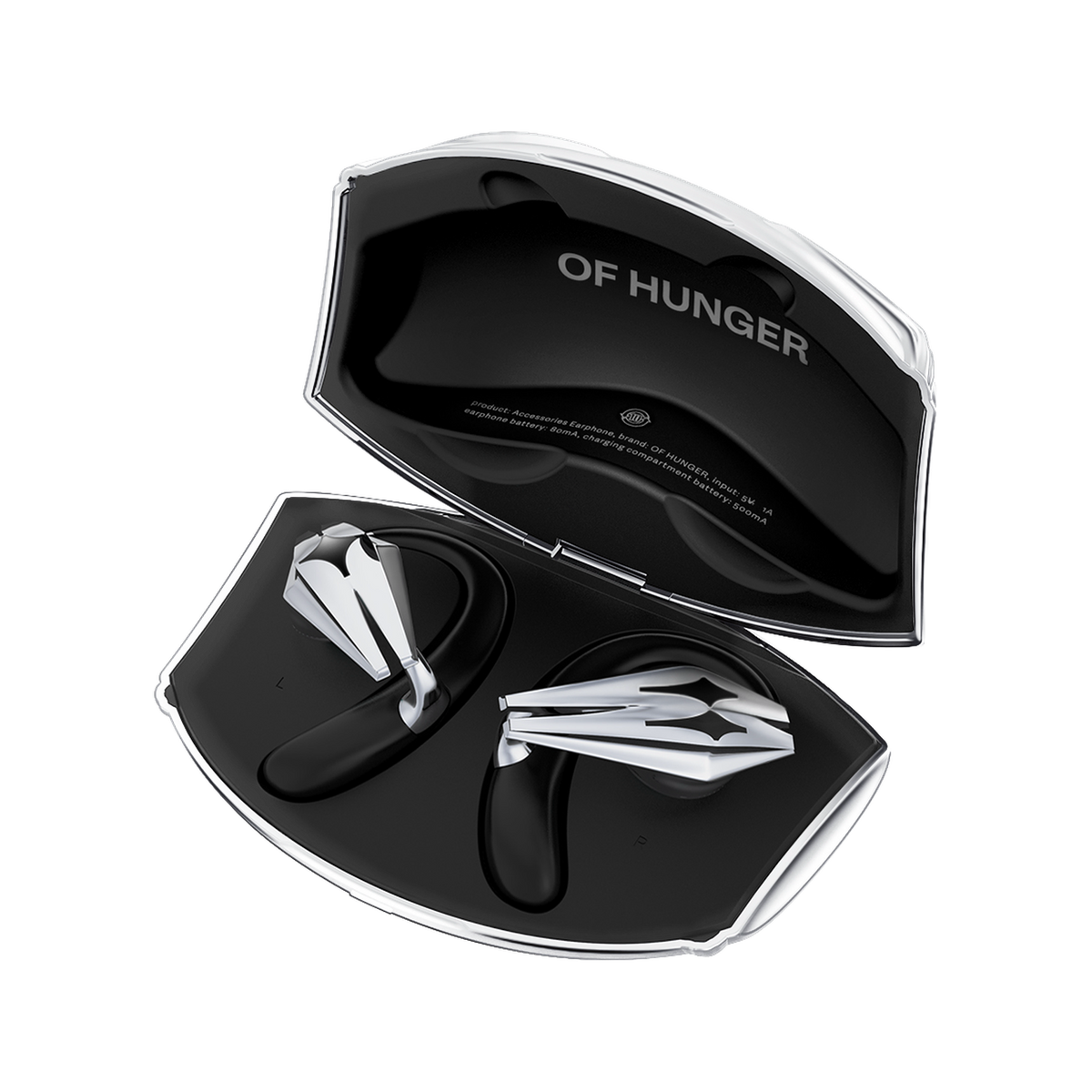 STARSHIP with its charging case