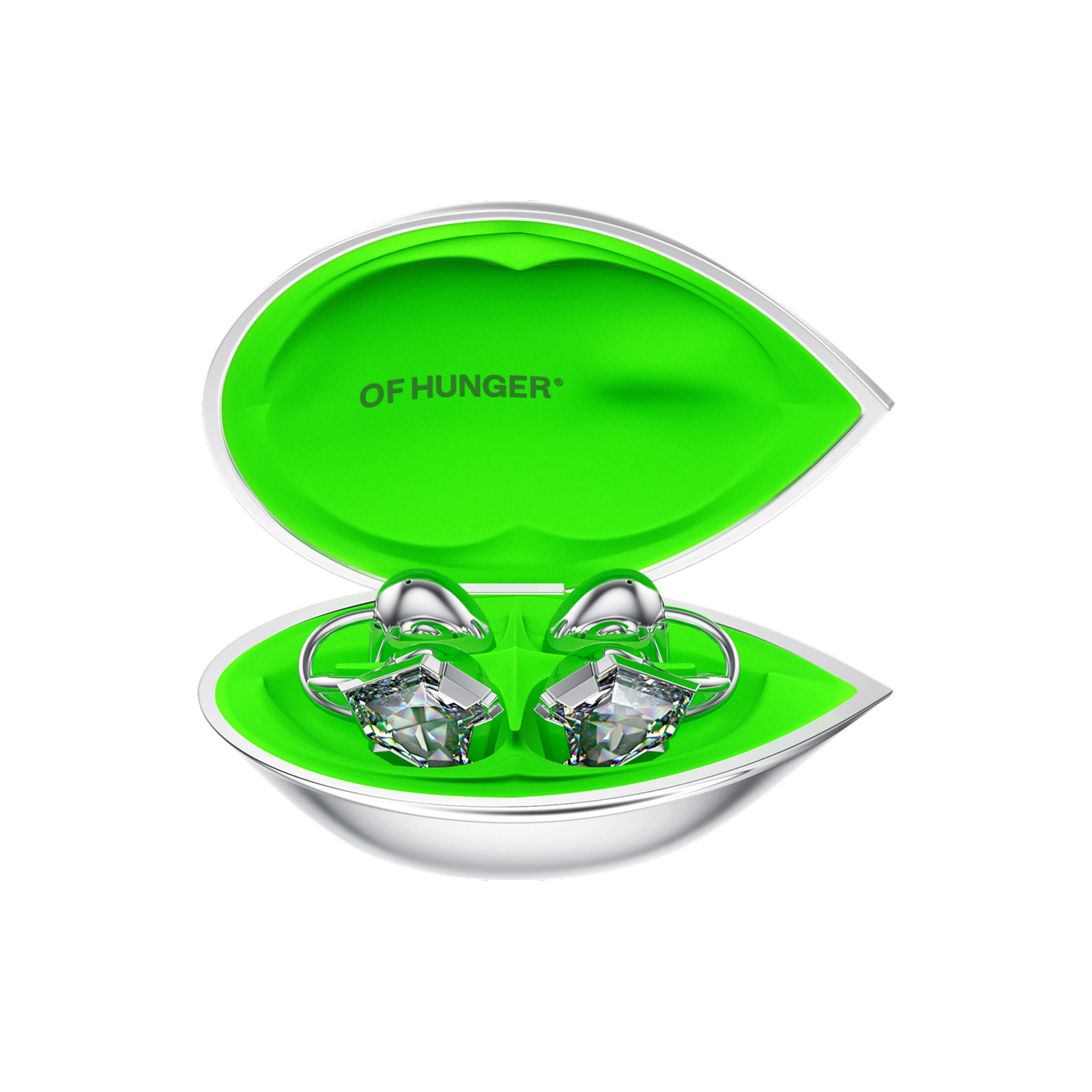 Gray Zircon with its charging case in a front view