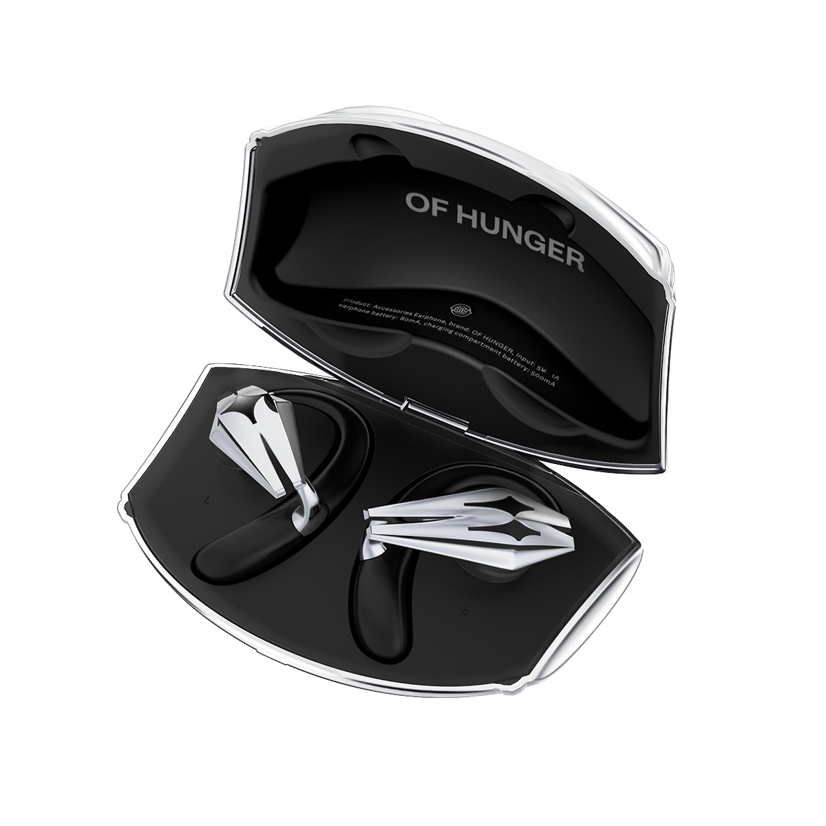 STARSHIP with its charging case