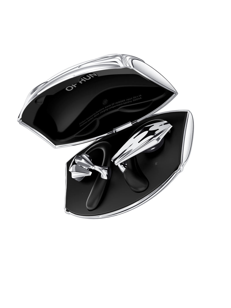 STARSHIP with its charging case in a side view on white